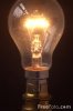 11_12_52---Electric-Light-Bulb_web.jpg