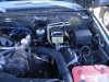 DSC02441.jpg
