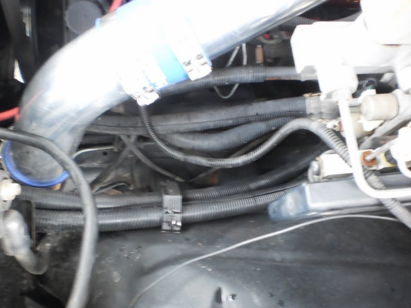 PC060237 (1024x768).jpg