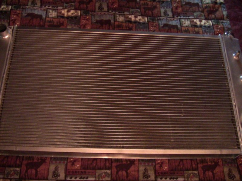 radiator 001.JPG